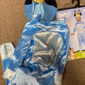 Bluey costume